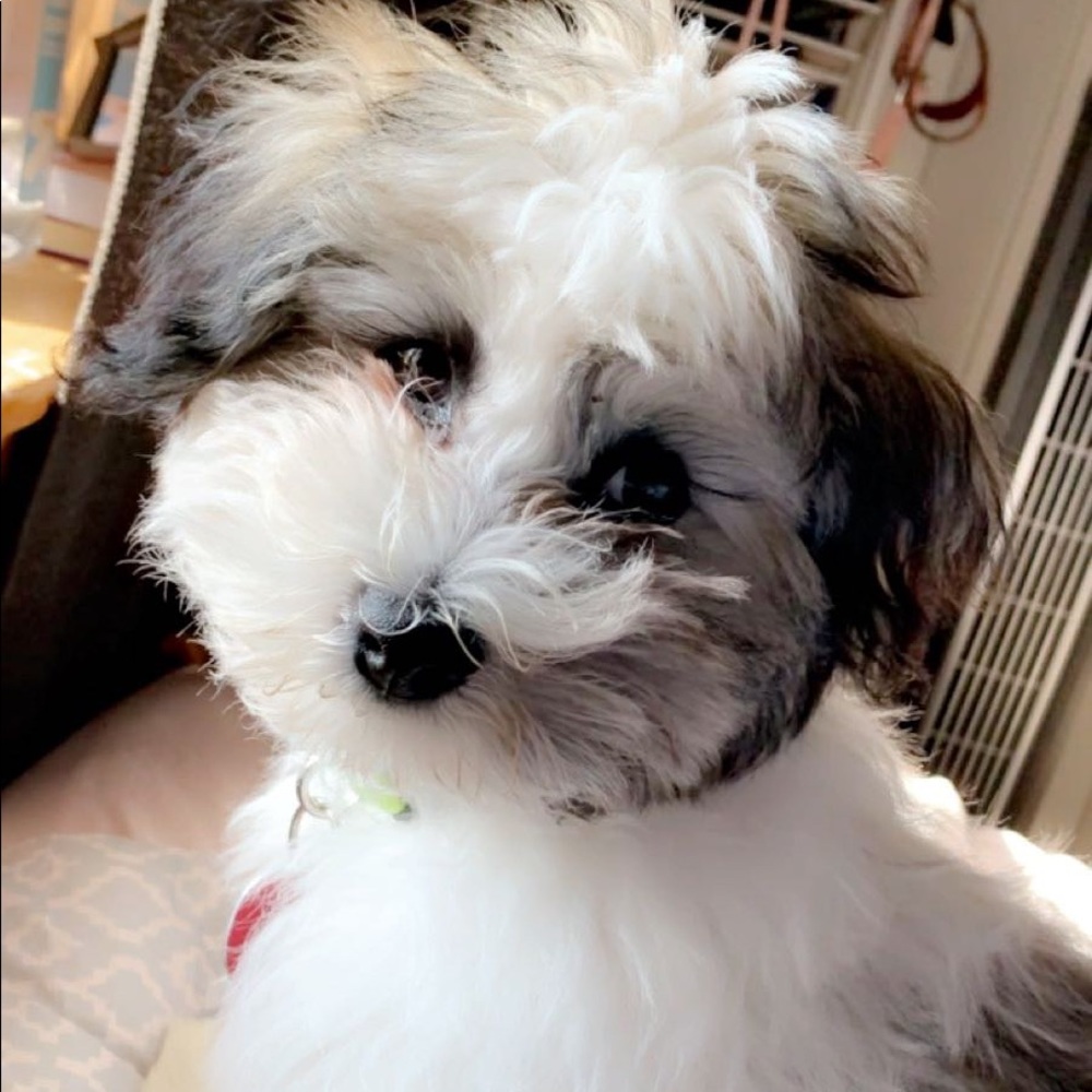 Meet your Posher, Megan